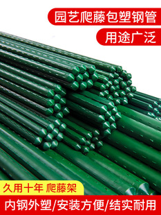 ֲ��֧�ΗU�������ټ������S�϶��ǼܗUͥԺ�Nֲ�¼��N�����֧��