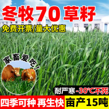 70ݷNͺ߮aBֳıwϱﶬݷN