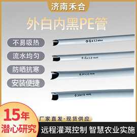 白色pe滴灌管外白内黑pe管农用灌溉毛管蓝莓水肥一体化20mm白pe管