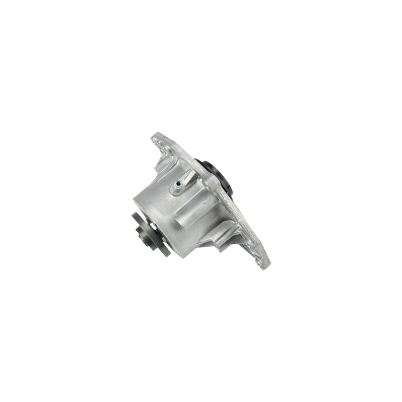 Cross-Border Popular Agent Recruitment Beyu Water Pump Suitable for Bentayga 07P121008B