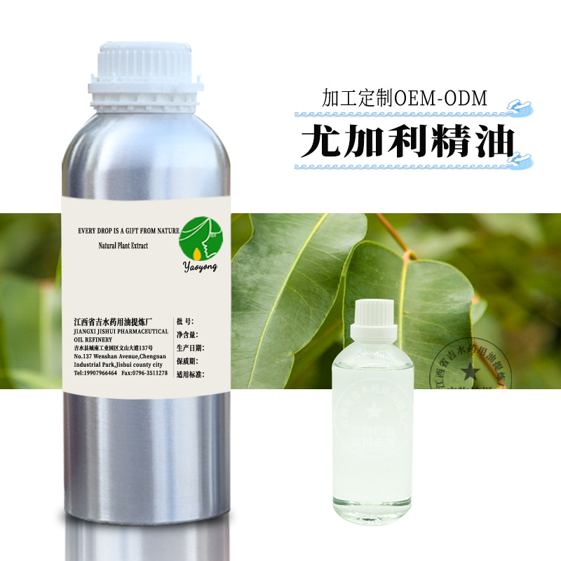 供应 尤加利精油 单方精油 植物原料 批发