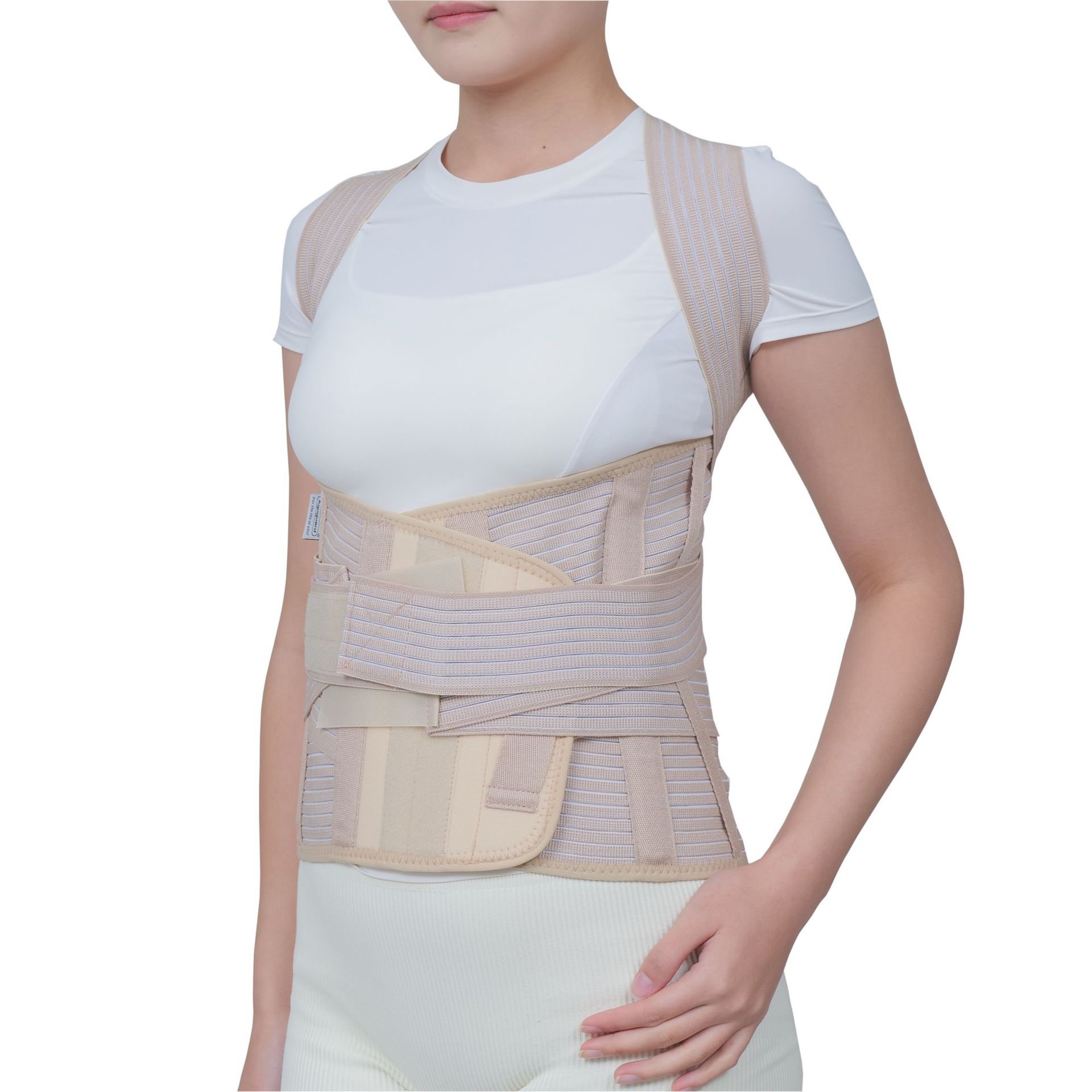 背中の矯正ベルトは腹を収めています。背中の腰椎サポート保護具です。