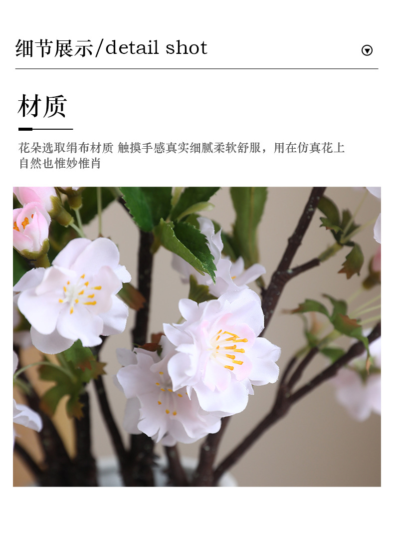 单枝子衿樱花_11.jpg