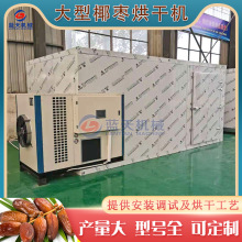 大型椰棗烘干機 燒生物質顆粒海棗波斯棗烘干機 燃氣棗椰子烘干房