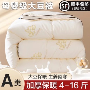 Soy Fiber Quilt Core Winter Quilt Thickeneded and Warm Flagship Store 5kg Autumn and Winter Student Dormitory Winter Quilt