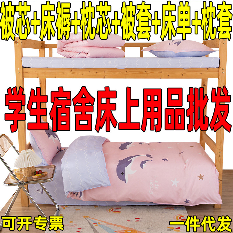 Ropa de cama traje completo conjunto de seis piezas con edredón núcleo de almohada edredón conjunto de cuatro piezas dormitorio ropa de cama individual conjunto completo combinación