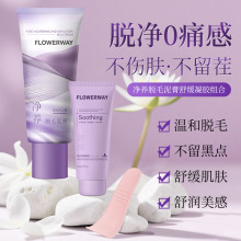 FLOWERWAY ���B�oʹÓë������z�M��������o�澏���w�غͲ��̼�
