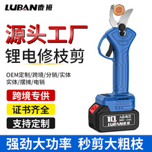 늄Ӽ������ʽ�@�ֹ�����֦���늼���֦����늼��Ӽ�֦�羳���l