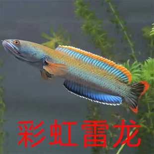 ���k�����~�ʺ������~��ˮ�~�߲��~��ˮ���w�Ꭷ�����~�^�p�~ꖹ�