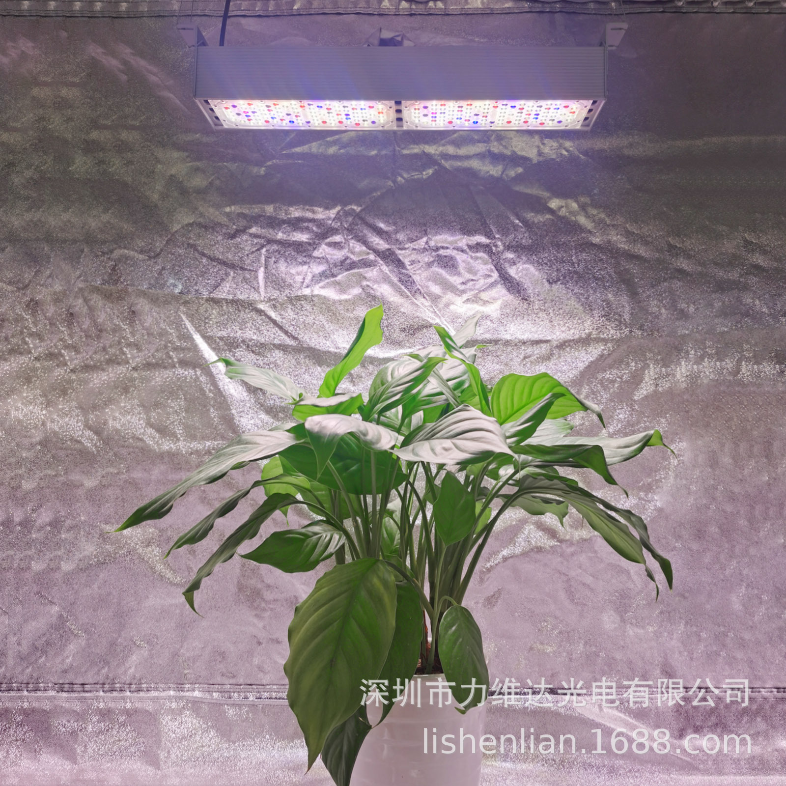 ά羳ledҵֲȫIP65ˮҷֲ