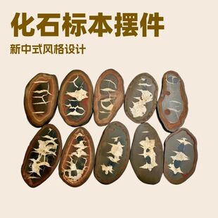 �羳���N������ʯľ��ʯ�[���仯��ԭʯ��Ƭ��ַ���ս̌W�˱��[��