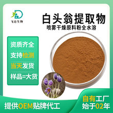 白头翁提取物 全水溶白头翁浓缩粉现货批发厂家直供