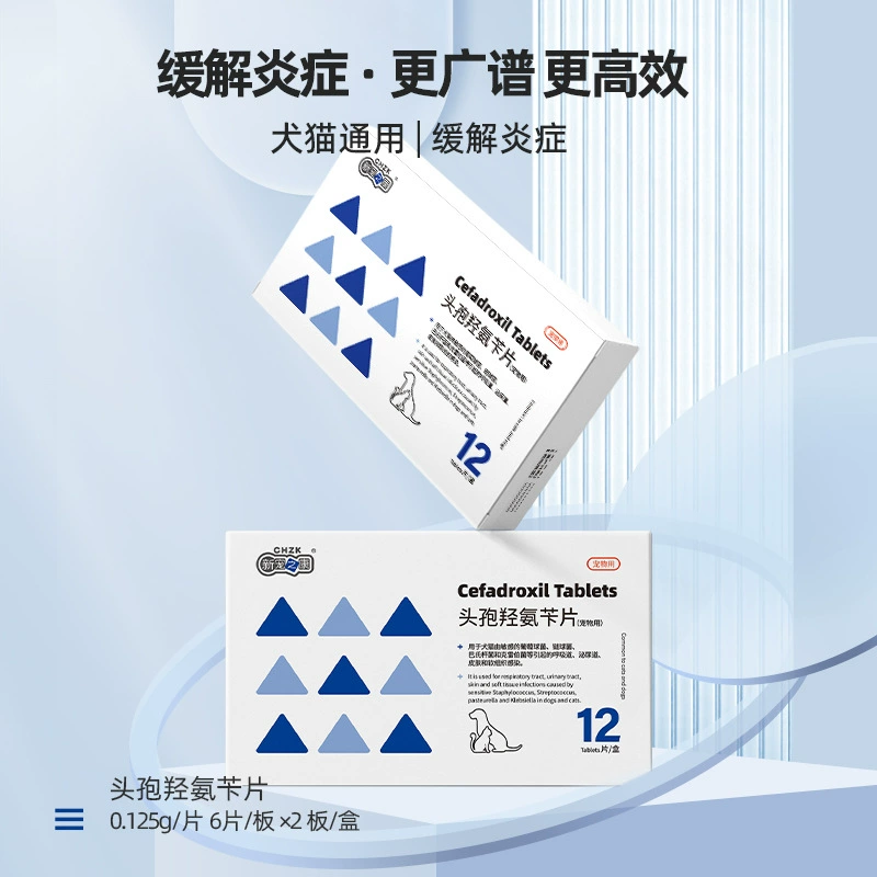 Цефалексин таблетки 12 таблеток/коробка для собак и кошек, инфекции дыхательных путей, мочевыводящих путей, противовоспалительные средства для домашних животных, новое здоровье домашних животных