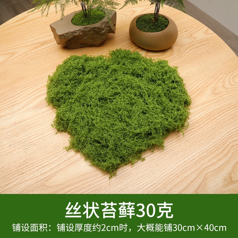 Light green silk moss 30 grams