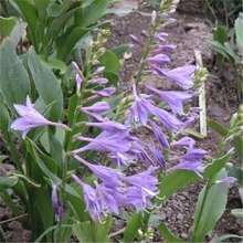 N 񴺰 Q ݻ ѷNӻNӷN