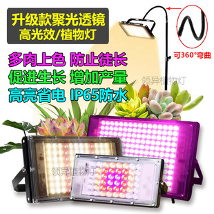 Indoor Simulated Sunlight Lamp Sunlight Bracket Green Plant Lamp Full Spectrum Succulent Vegetable Flower Landscape 220