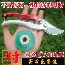 嫁接刀芽接刀锋利工具果粗树特种钢省力修枝农用园艺师嫁接花卉