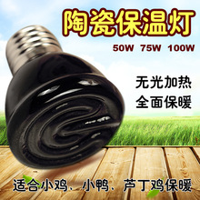 芦丁鸡专用陶瓷保温灯鹌鹑鹦鹉取暖小鸡冬季保暖用品恒温照明套餐