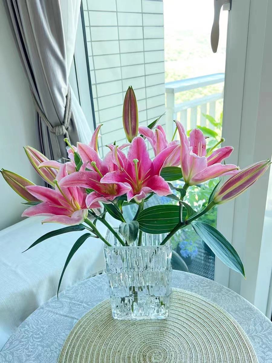 微信图片_20220807140447