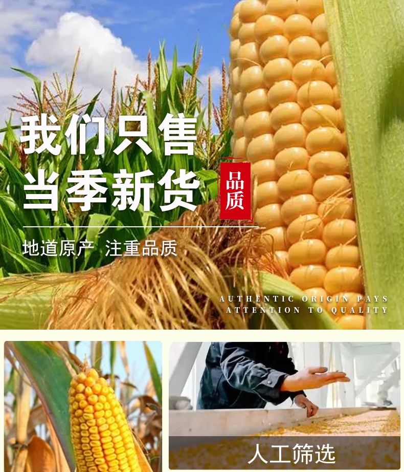 Freeze-Dried Corn Kernels (Zea mays) — Food-Grade Sweet Corn for Juice, Soups & Culinary Use specifications