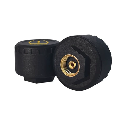 and External Neutral Sensor Manufacturer – Tire pressure monitoring system