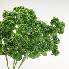 3 Head Home Decor Flower Artificial Flower Fake Flower Artificial Hydrangea Fruit Wedding Greenery Branch Photo Home Decor Flower Arrangement