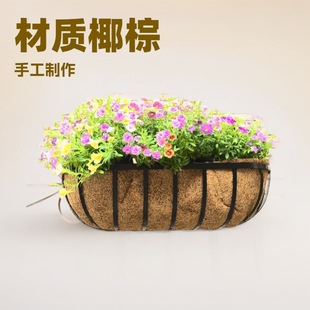 �Fˇ�ڒ�Ҭ���R�ۻ��軨�ܡ��̨ͥԺ��N�ߴ�ܗU�b��@