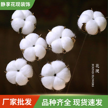 �½��L�q�ֹ��޻��ɻ��������仨�����Ĕz�޻�����diy���S���l