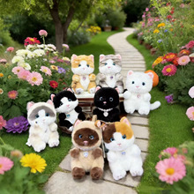 �ɐ�؈�乫�В��ë�q��߻�؈��ż耳׿۰��᲼�������նY�����l