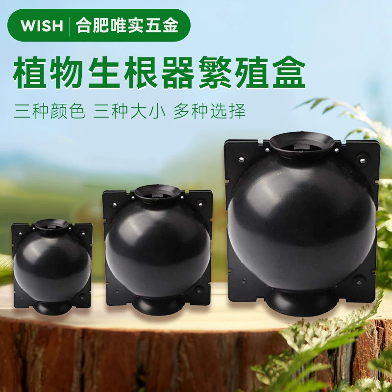 Трансграничная коробка для укоренения растений Устройство для укоренения растений Растение для резки шарика для прививки