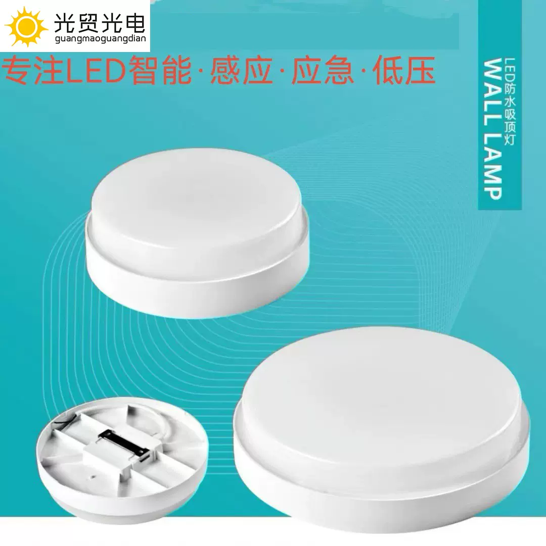 LED防水吸顶灯人体雷达感应常亮声控户外防水阳台庭院现代简约