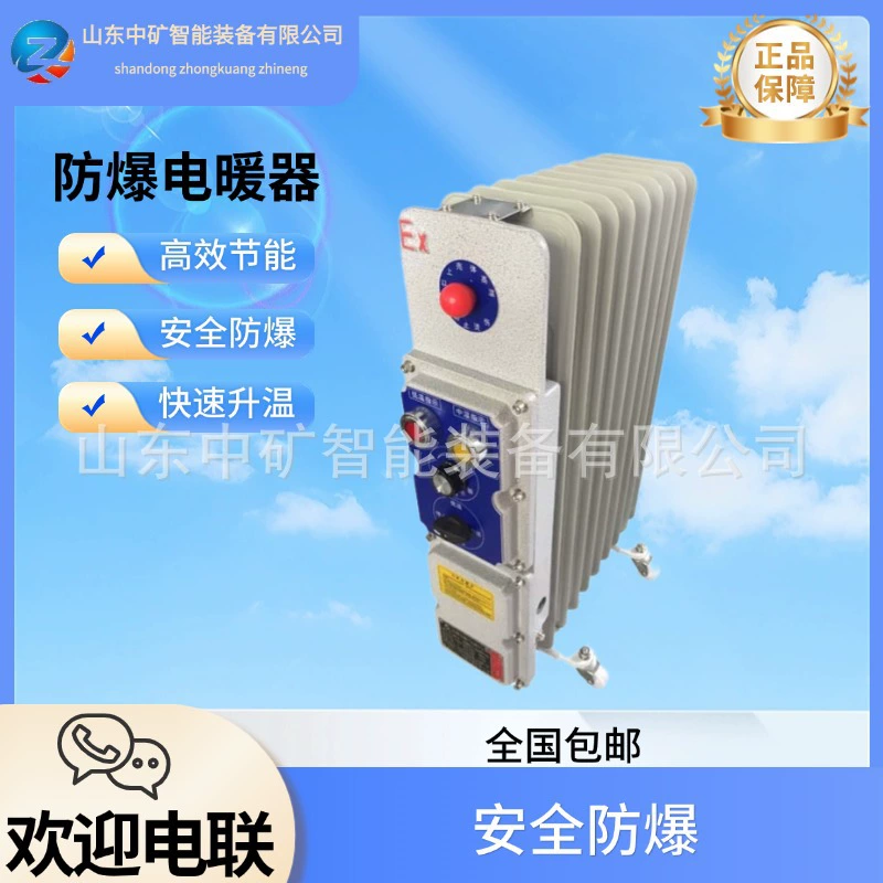 Взрывозащищенный электрический масляный нагреватель BDR 2000 Вт, взрывозащищенный электрический нагреватель, взрывозащищенный масляный нагреватель для химической промышленности