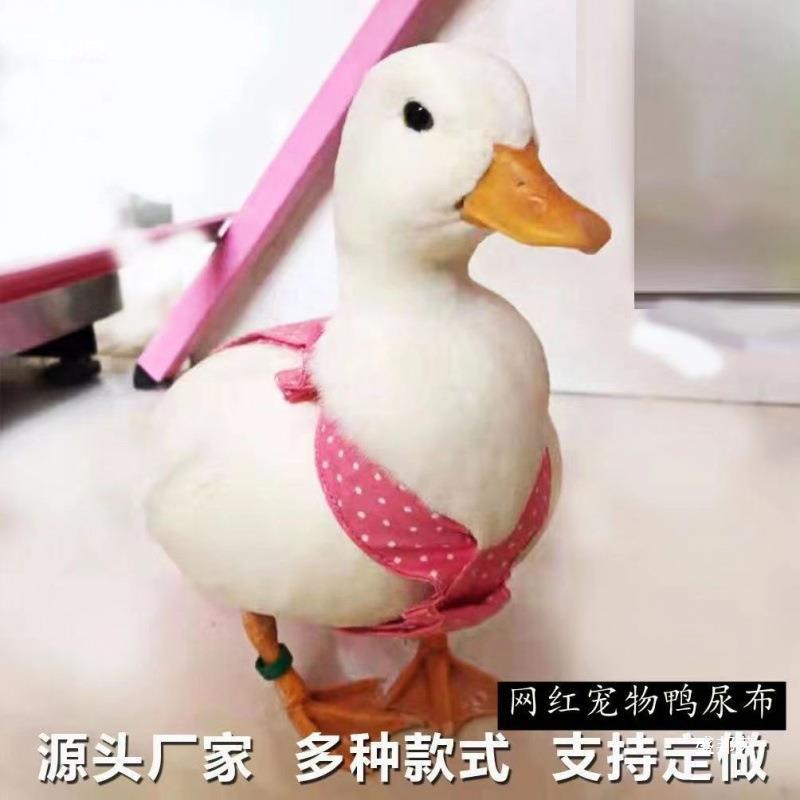 Diaper Pants Pet Diapers Duck Cole Duck Independent Stand Pet Clothing Diaper Supplies Diaper Chicken Paper Versatile Goose