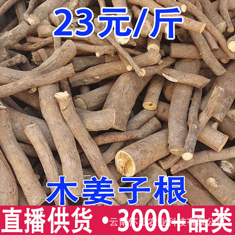 Yunnan Dehong Specialty Melaleuca Root, Mountain Pepper Root, Authentic Wood Ginger Root, Qianli Fragrant Root Wholesale and Delivery Yunnan Dehong Specialty Melaleuca Root, Mountain Pepper Root, Authentic Wood Ginger Root, Qianli Fragrant Root Wholesale and Delivery