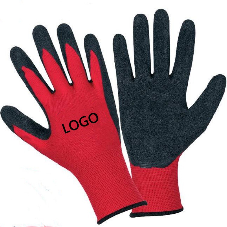 IMG_0301(20231029-081957)