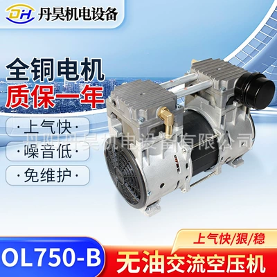 Dan Hao Electromechanical Ol750-B Oil-Free Compressor Head Oxygen Concentrator 10L Air Source Pump New Air Compressor Large Flow Pump