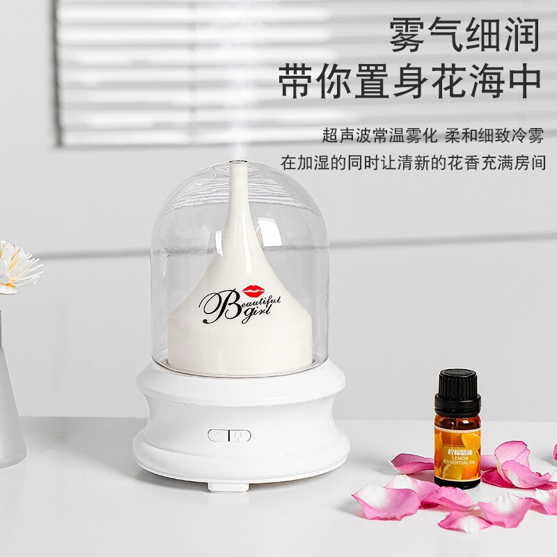 跨境永生花加湿器家用桌面卧室摆件氛围夜灯香氛精油香薰机礼品|undefined