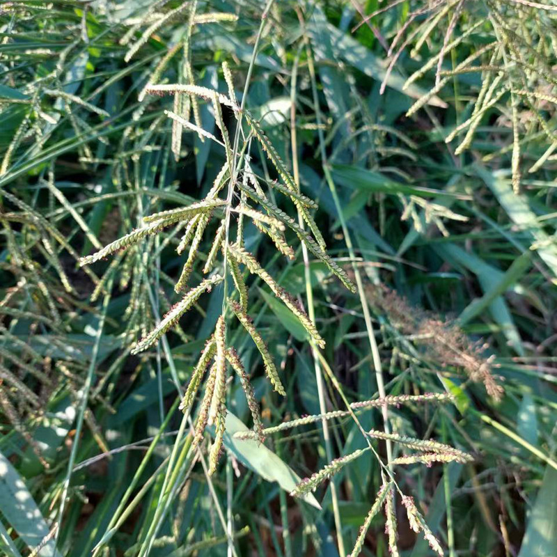 1611d900ee3c6aeb13d10751850d8c