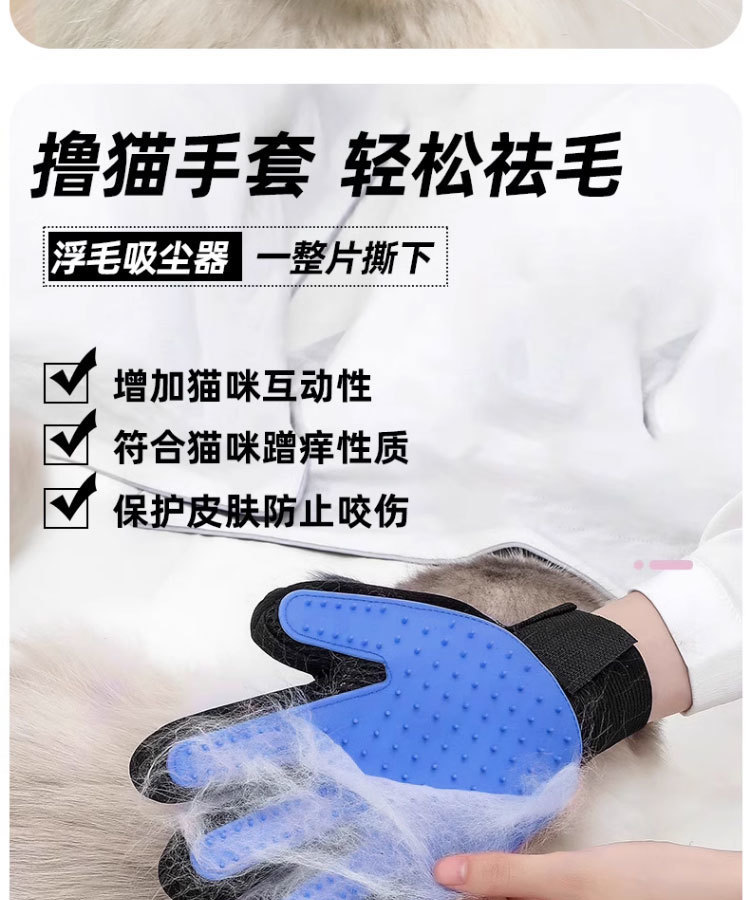 cd6ae436-608d-45b5-b0d2-1276117d0a9f.jpe