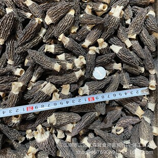 �����Ǿ���؛5-8cm�^����؛�������⾫�x6�����r�خa���l���l