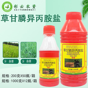 ���|41%�ݸ�좮������}�����Գ��݄������s�ݠ��������@�rș