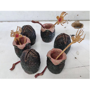 NECA���ε� ��Ę�x ���Έ����е� 6öһ�� ���b ģ�����k