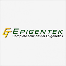 EpigentekA54774-050 OXCT1 PolyclonalAntibodyFITC Conjugated