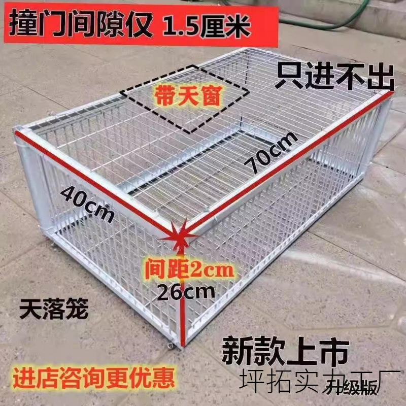 只进不出鸟笼全自动天落笼子撞门户外抓收鸽子捕加密可连续用|undefined