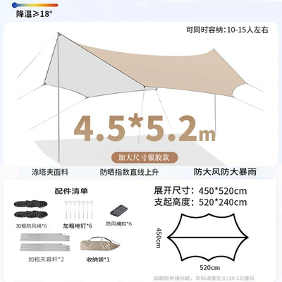 Avtomobil yan çətirləri, Coated Canopy with Sun Protection - silver-glue-4552-octagonal-butterfly-shape-comes-with-a-storage-bag-various
