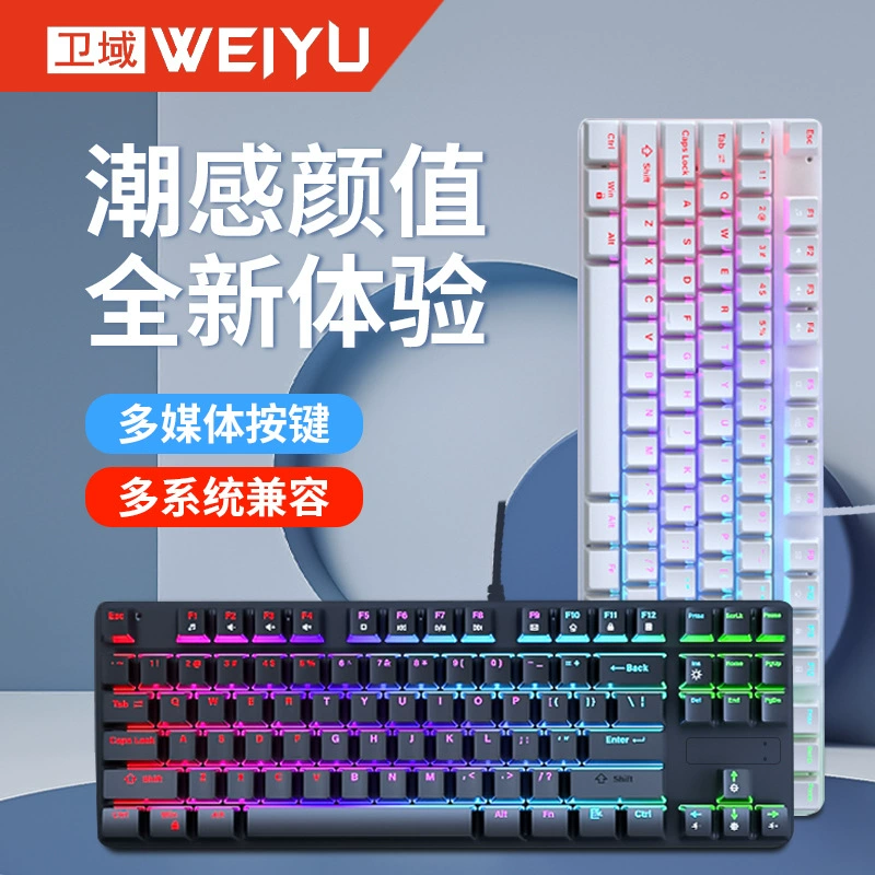 Mechanical keyboard, gaming laptop, (Physicals)