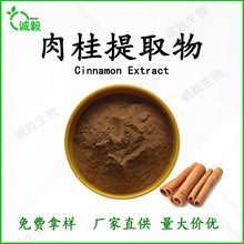 速溶肉桂粉10:1食品级肉桂提取物原料粉速溶调味品支持检测现货