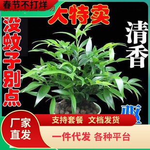 һ�����lˮ�����������Ը��F��ˮ�Bֲ����ò��҃ȿ͏d�Gֲ����