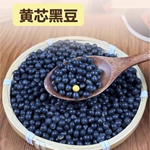 2025���Sо�ڶ���؛�r���ԷN���Ӷ�ѿ����s�Z�򶹝{�S�ĺڶ��