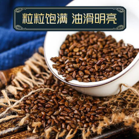 Roasted Cassia Seed Tea Jue Ming Zi 300g Canned Herbal Flower Tea for Daily Brewing in use